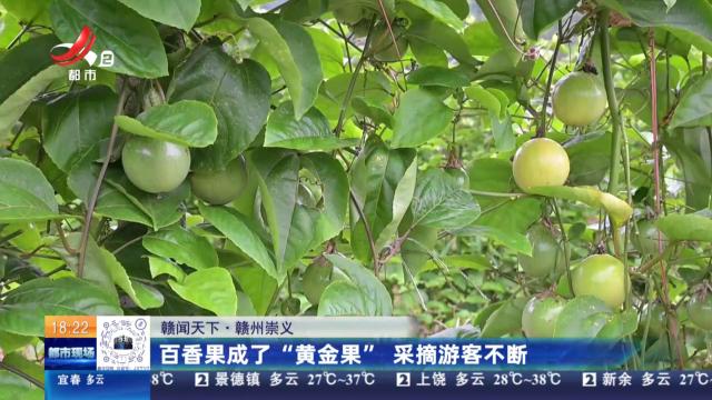 【赣闻天下】赣州崇义：百香果成了“黄金果” 采摘游客不断