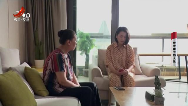 乡村栏目剧场20250908 放大镜下的人生