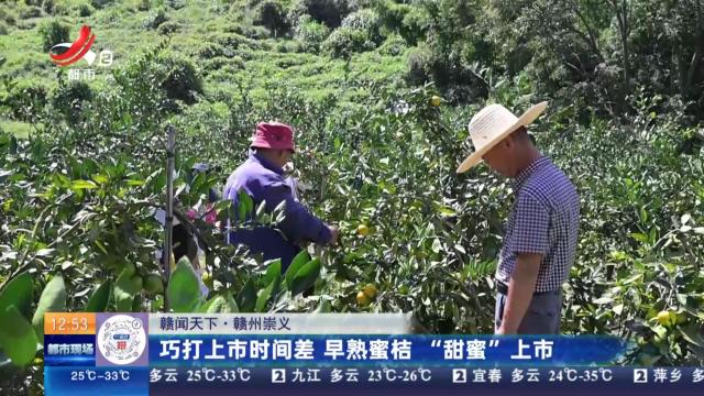 【赣闻天下】【赣闻天下】赣州崇义：巧打上市时间差 早熟蜜桔“甜蜜”上市