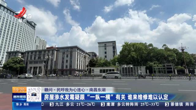 【赣问·民呼我为心连心】南昌东湖：房屋渗水发霉疑跟“一纵一横”有关 谁来维修难以认定