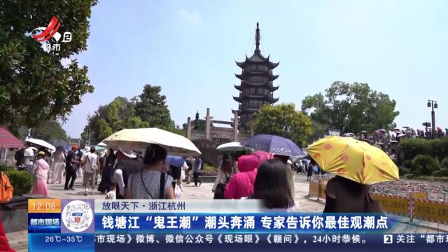 【放眼天下】浙江杭州：钱塘江“鬼王潮”潮头奔涌 专家告诉你最佳观潮点