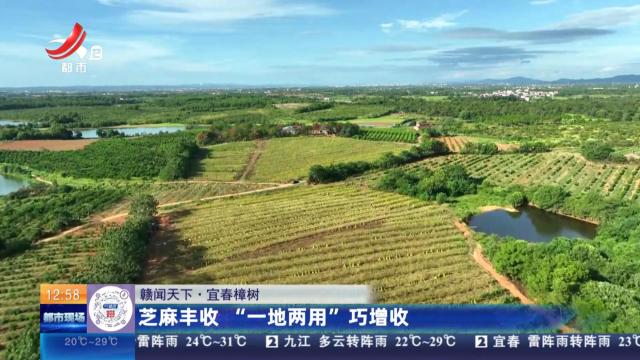 都市现场·午间版20250923