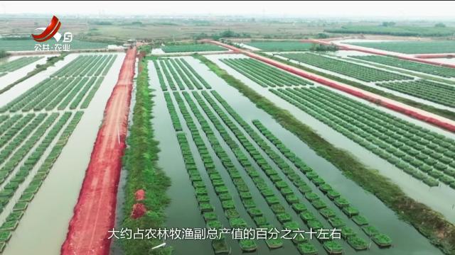赣出精彩20250926