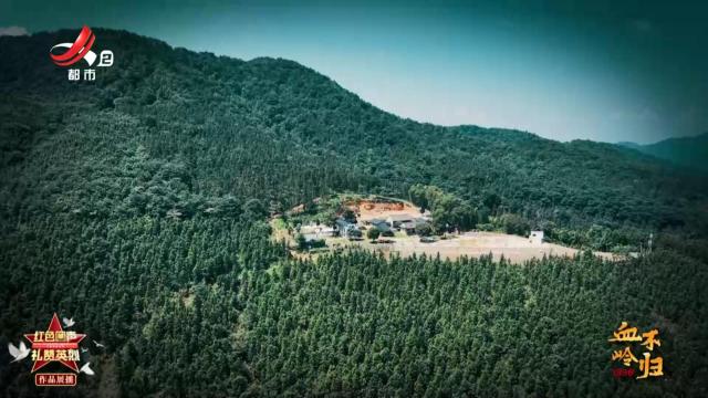 【红色回声 礼赞英烈】1938 血岭不归