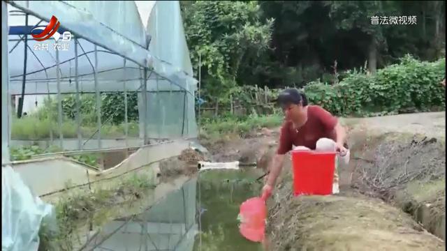 聚焦江西农村：学法用法故事微视频评选开评