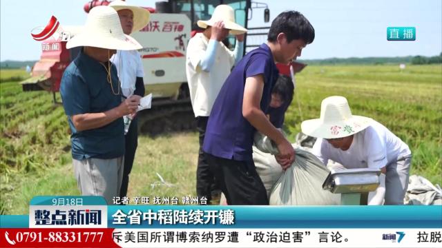 全省中稻陆续开镰
