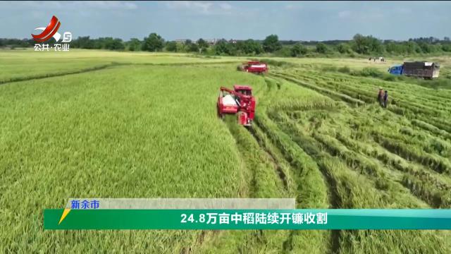 三农头条20250925