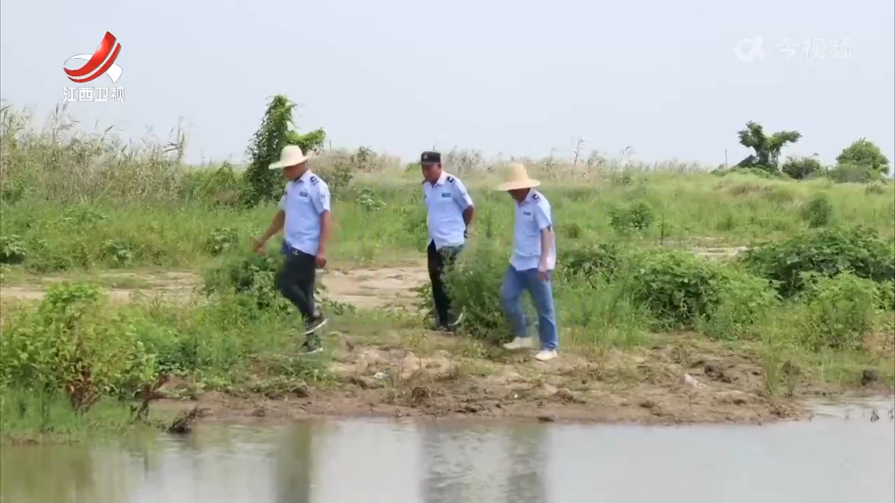鄱阳湖夏候鸟开始南迁