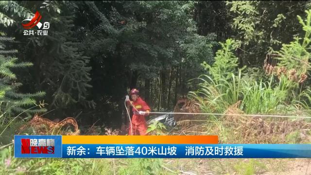 新余：车辆坠落40米山坡 消防及时救援