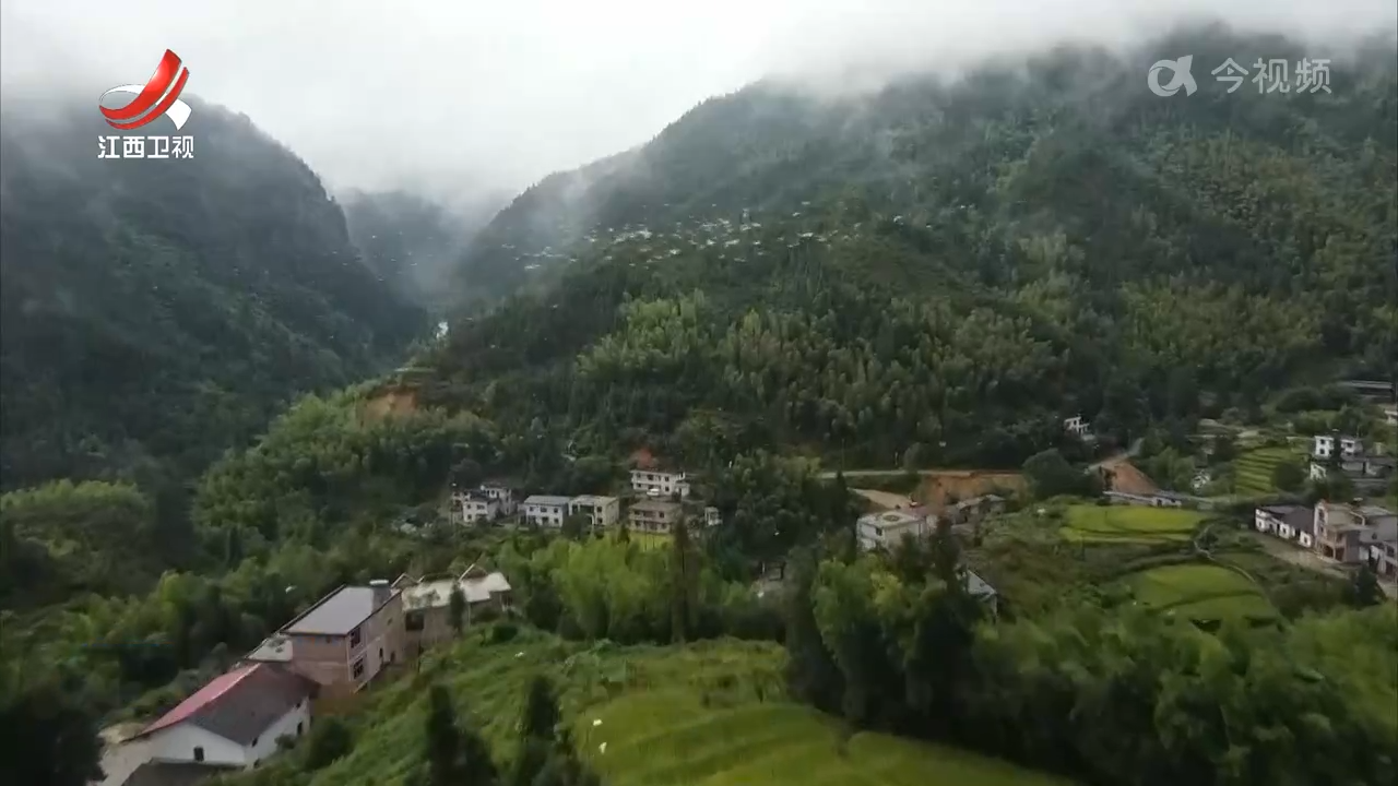遂川千年鸟道迎来今年首批南迁候鸟