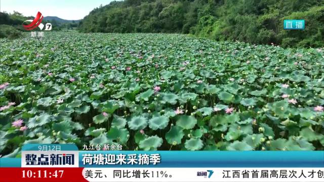 整点新闻20250912 10：00