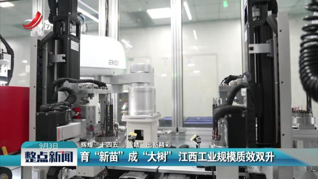 【辉煌“十四五” “赣”出新精彩】育“新苗”成“大树” 江西工业规模质效双升