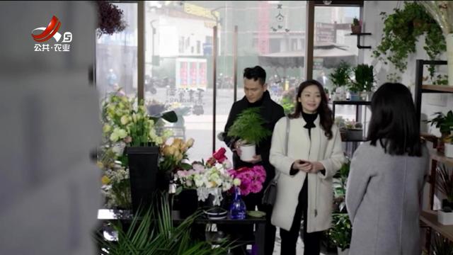 乡村栏目剧场20250926 灯火阑珊