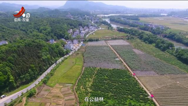 农问20250920