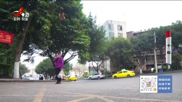 乡村栏目剧场20250917 十年