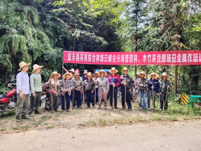 宜丰县采育联合林场开展营林采伐安全培训