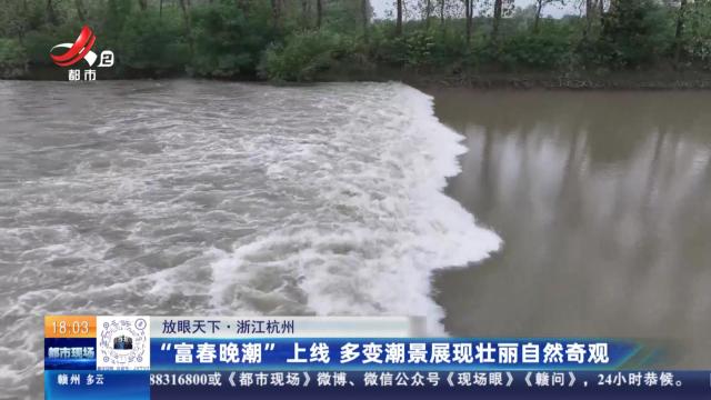 【放眼天下】浙江杭州：“富春晚潮”上线 多变潮景展现壮丽自然奇观