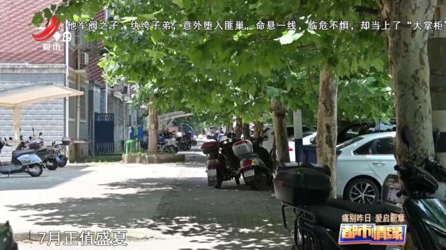 都市情缘20250919 痛别昨日 爱启新章