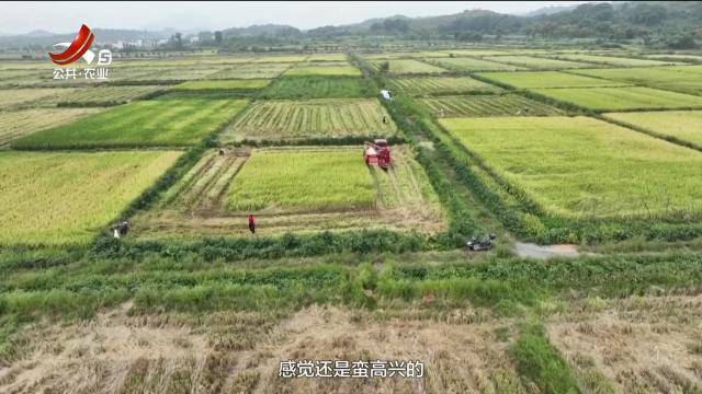 三农头条20250928