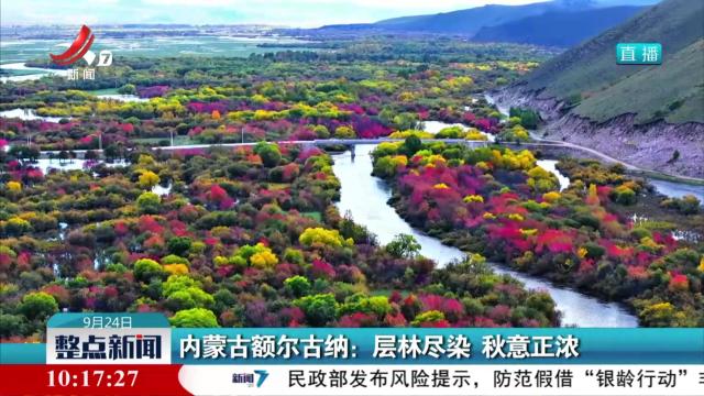 内蒙古额尔古纳：层林尽染 秋意正浓