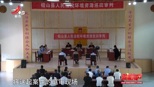 落槌有声20250908 守护青山精灵