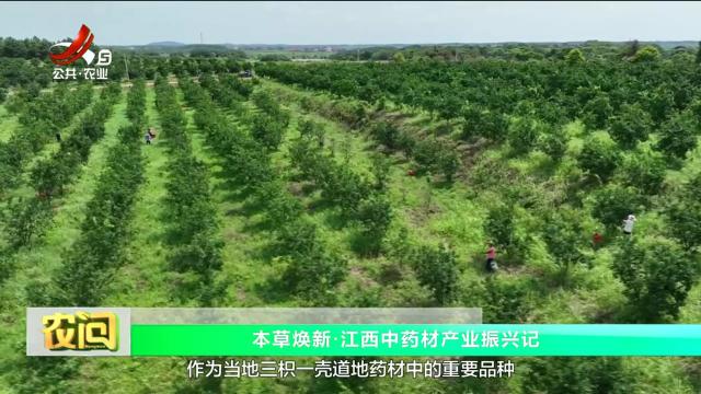 农问20250913