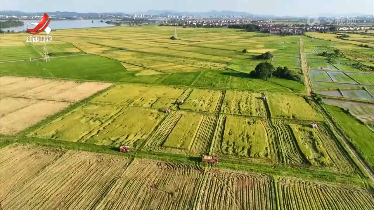 江西：高标准农田抗旱稳产保丰收
