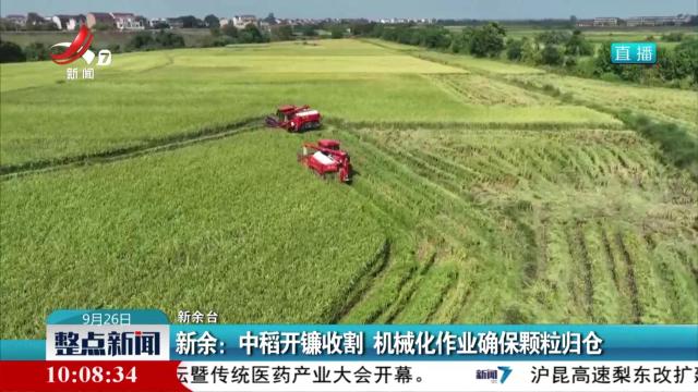 新余：中稻开镰收割 机械化作业确保颗粒归仓