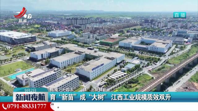 新闻夜航20250902