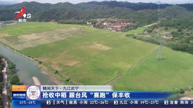 【赣闻天下】九江武宁：抢收中稻 跟台风“赛跑”保丰收