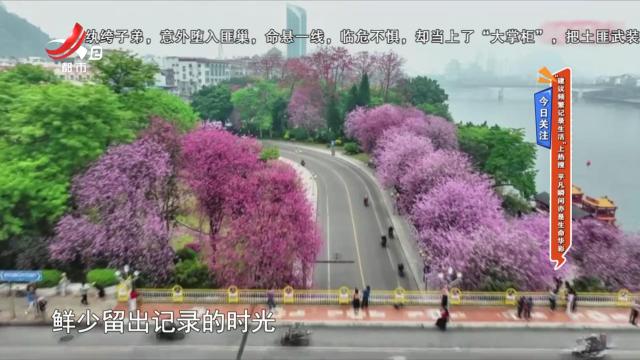 今日关注——“建议频繁记录生活”上热搜 平凡瞬间亦是生命华彩