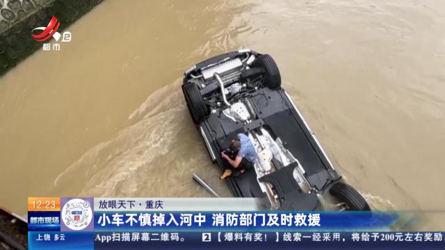 【放眼天下】重庆：小车不慎掉入河中 消防部门及时救援