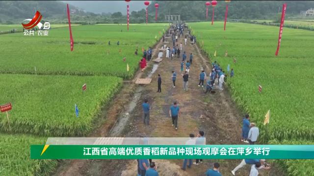 三农头条20250922