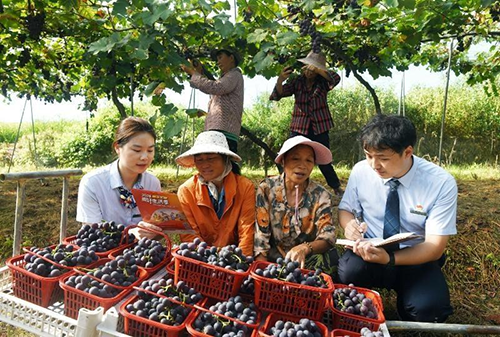 邮储银行抚州市分行：远离涉农诈骗 用好惠农金融