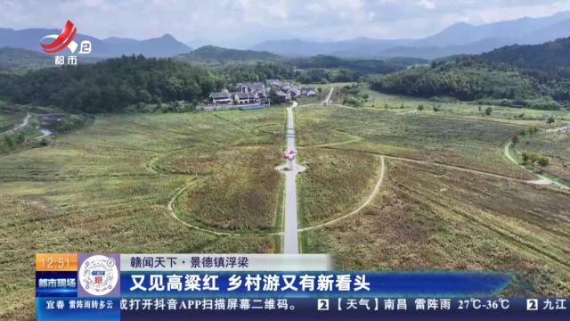【赣闻天下】景德镇浮梁：又见高粱红 乡村游又有新看头