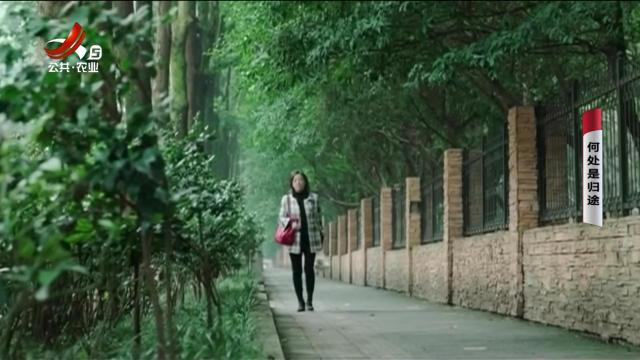 乡村栏目剧场20250907 何处是归途