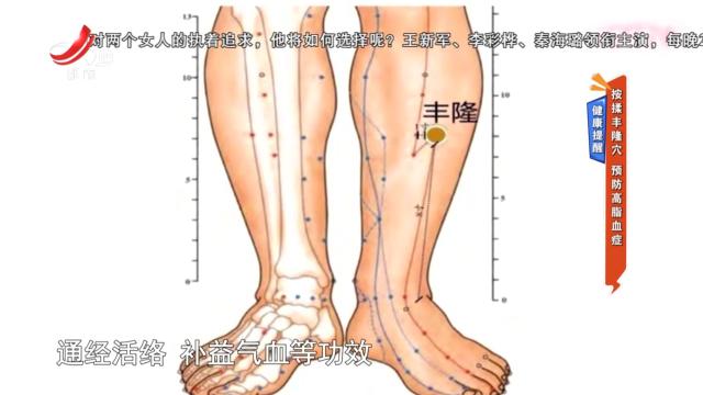 健康提醒：按揉丰隆穴 预防高脂血症