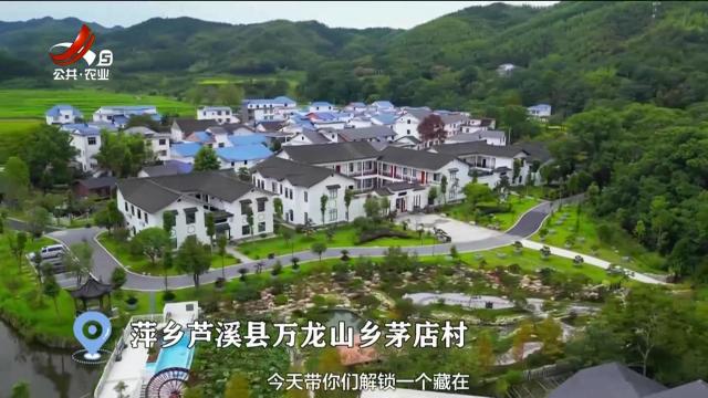 乡约江西——一起去村游20250927
