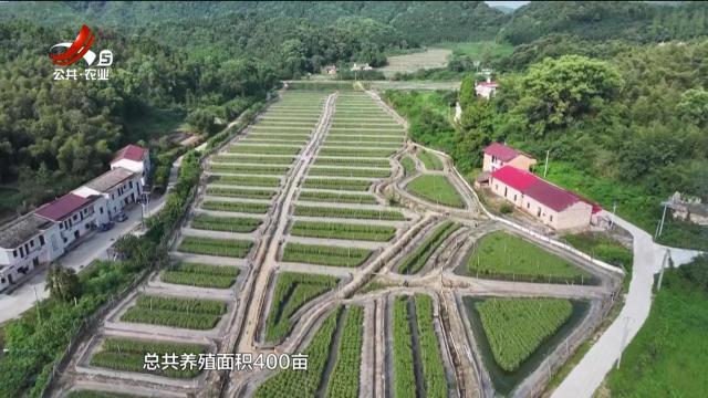 五哥帮忙团20250904