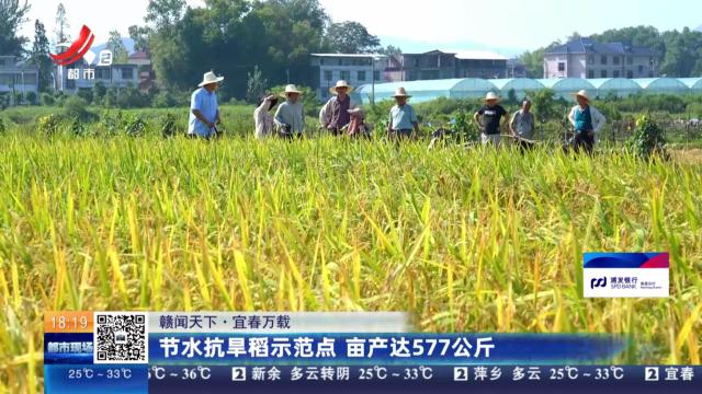 【赣闻天下】宜春万载：节水抗旱稻示范点 亩产达577公斤