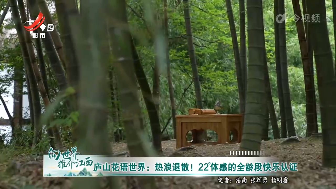 向世界推介江西20250830