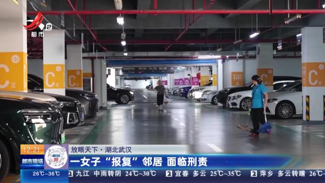 【放眼天下】湖北武汉：一女子“报复”邻居 面临刑责