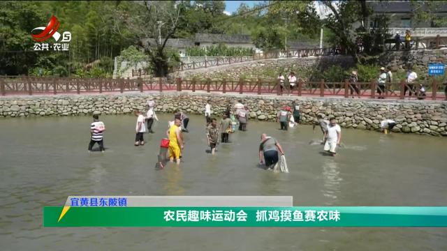 三农头条20250923