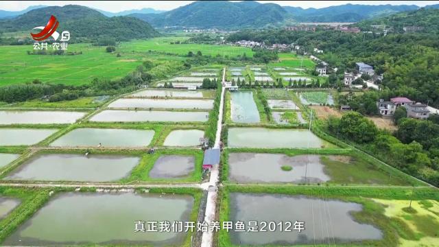 从田园到餐桌20250906
