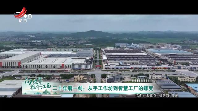 二十年磨一剑：从手工作坊到智慧工厂的蝶变