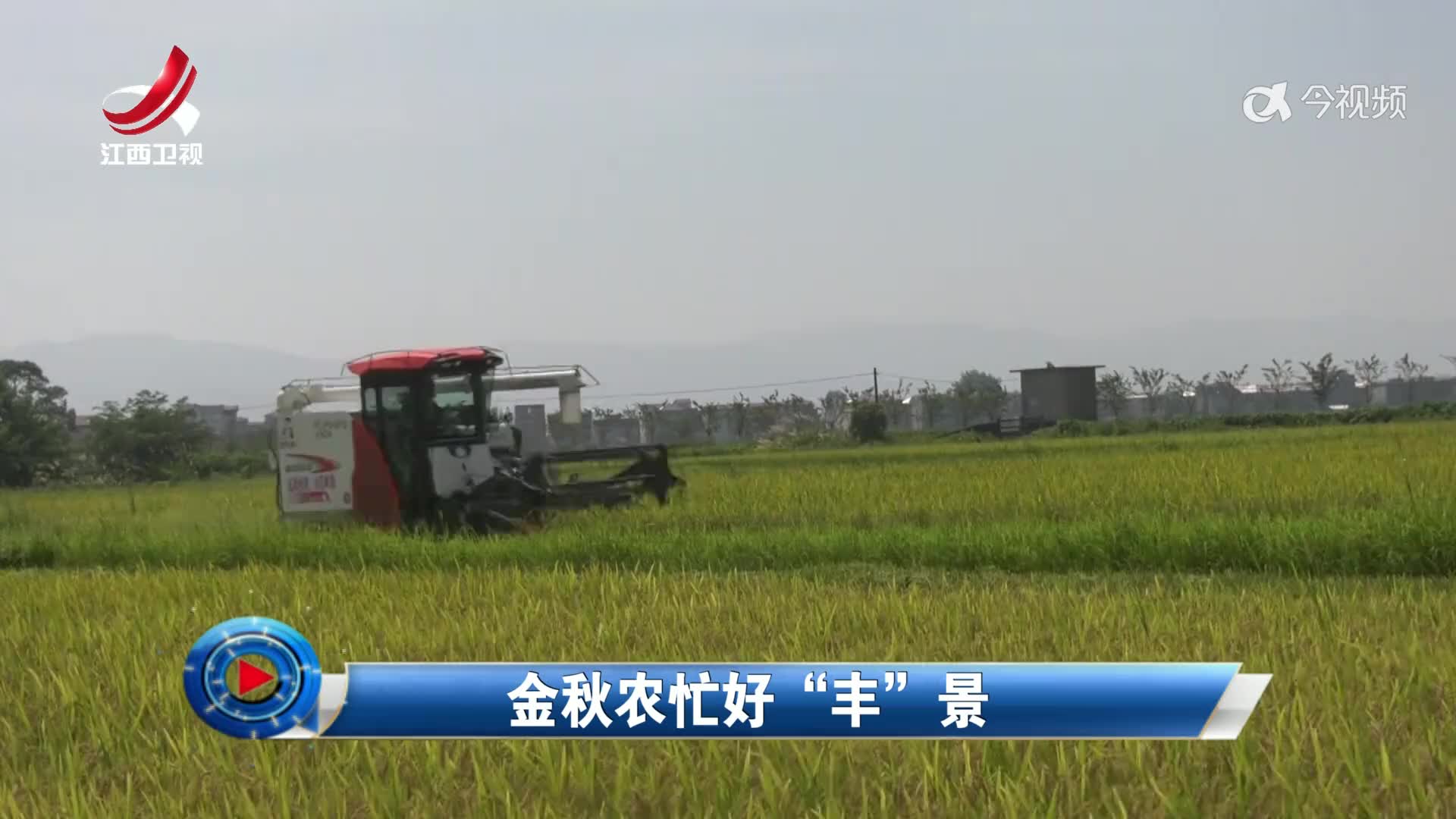 社会传真20250923 金秋农忙好“丰”景