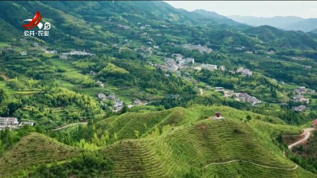 新闻晚高峰20250911