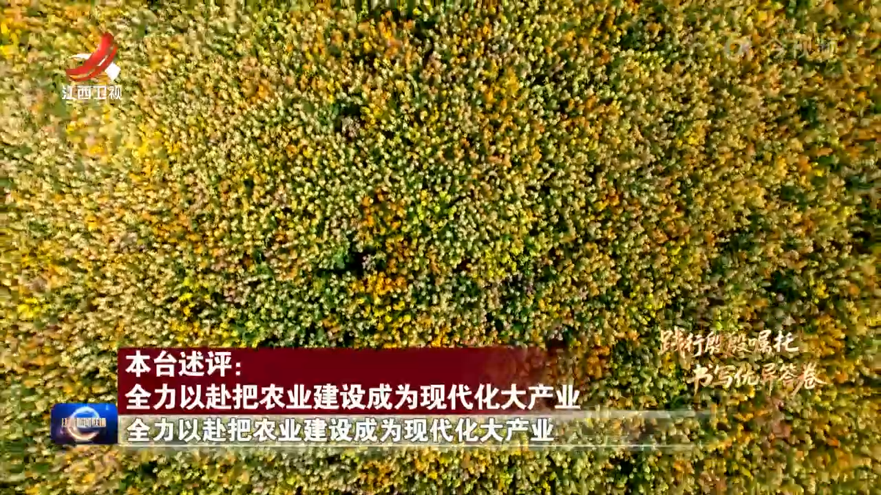 【践行殷殷嘱托 书写优异答卷】本台述评：全力以赴把农业建设成为现代化大产业