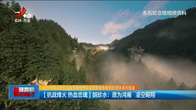 纪念中国人民抗日战争暨世界反法西斯战争胜利80周年系列报道——【抗战烽火 热血忠魂】胡珍水：愿为鸿雁 凌空翱翔