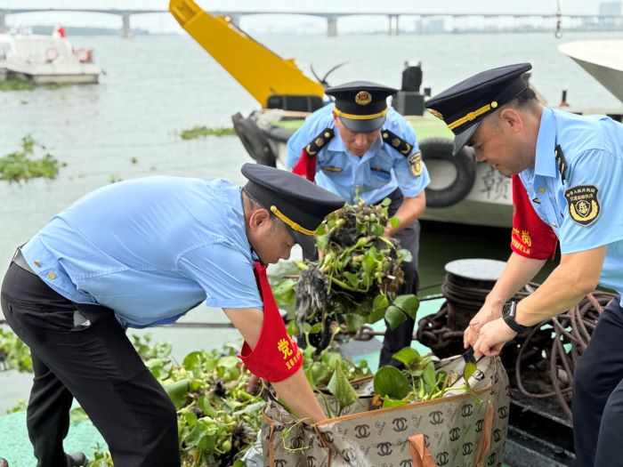 江西宜春：红袖章汗珠洒碧波 先锋队铁臂除水草